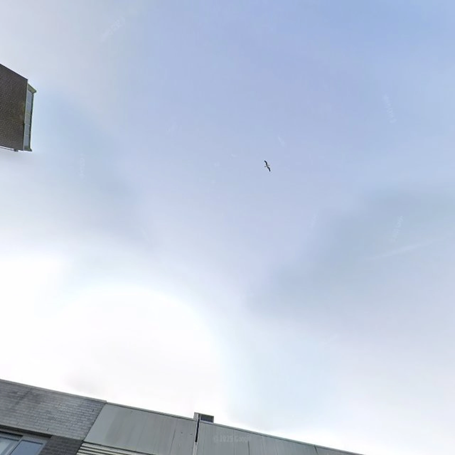 Kringloopwinkel Kringloopwinkel De Groene Sluis in Lelystad