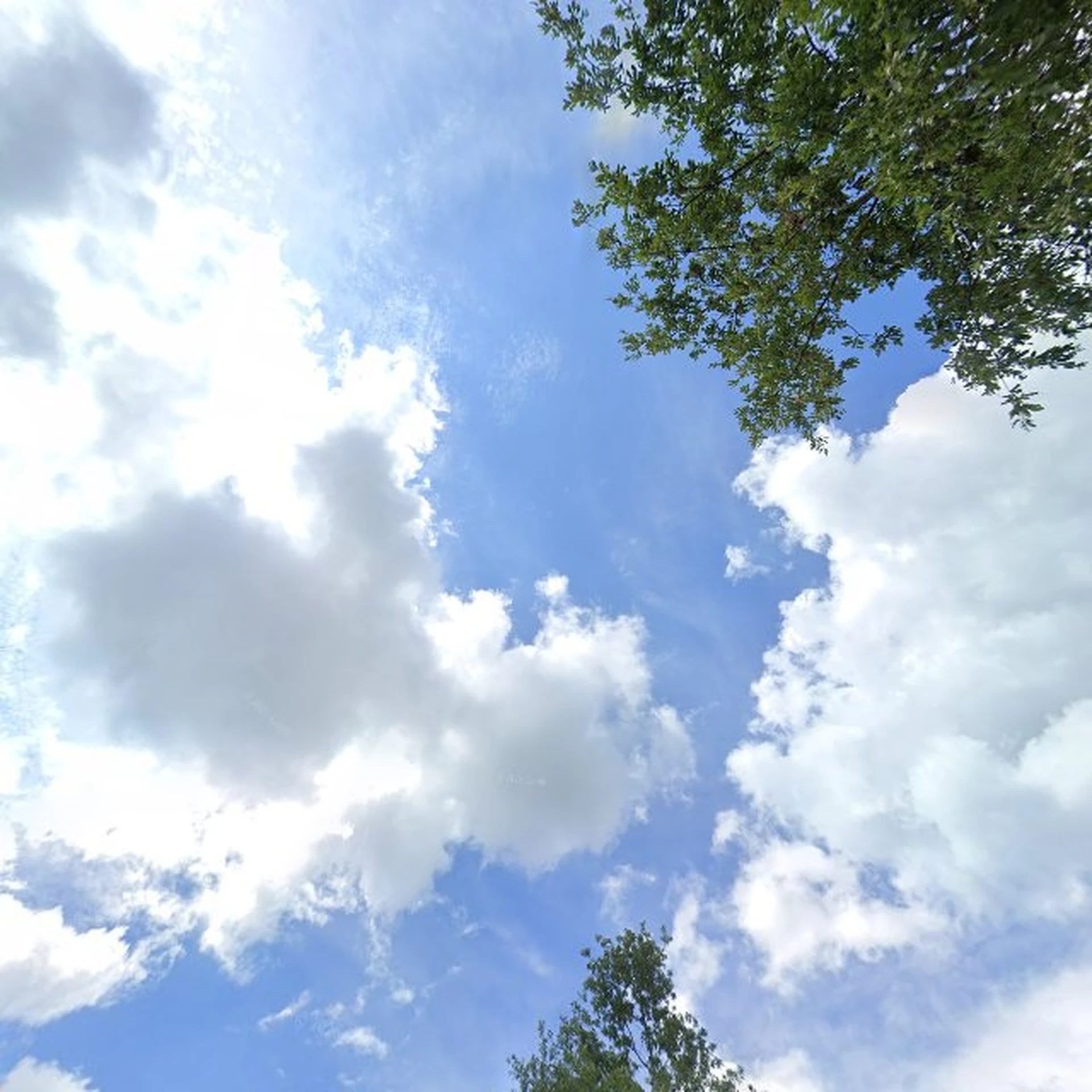 Kringloopwinkel Kringloopwinkel De Hippe Kip tweedehandskleding in Hoogeveen