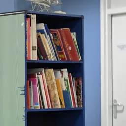 Blauw boekenrek met tweedehands boeken in verschillende kleuren, geordend op twee niveaus