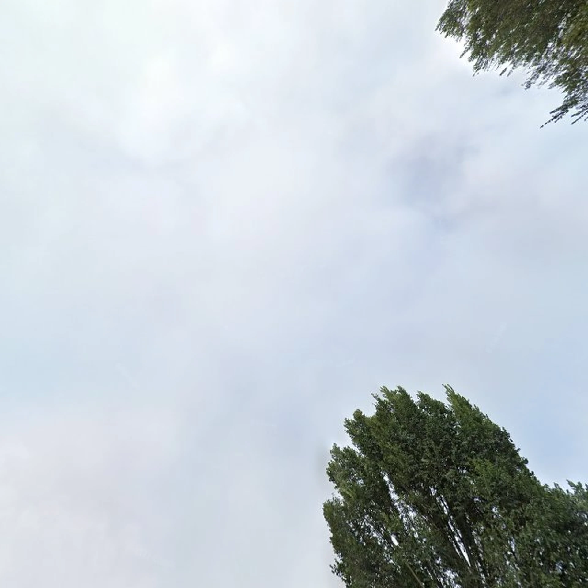 Kringloopwinkel Kringloopwinkel De Kring Lenie in IJmuiden