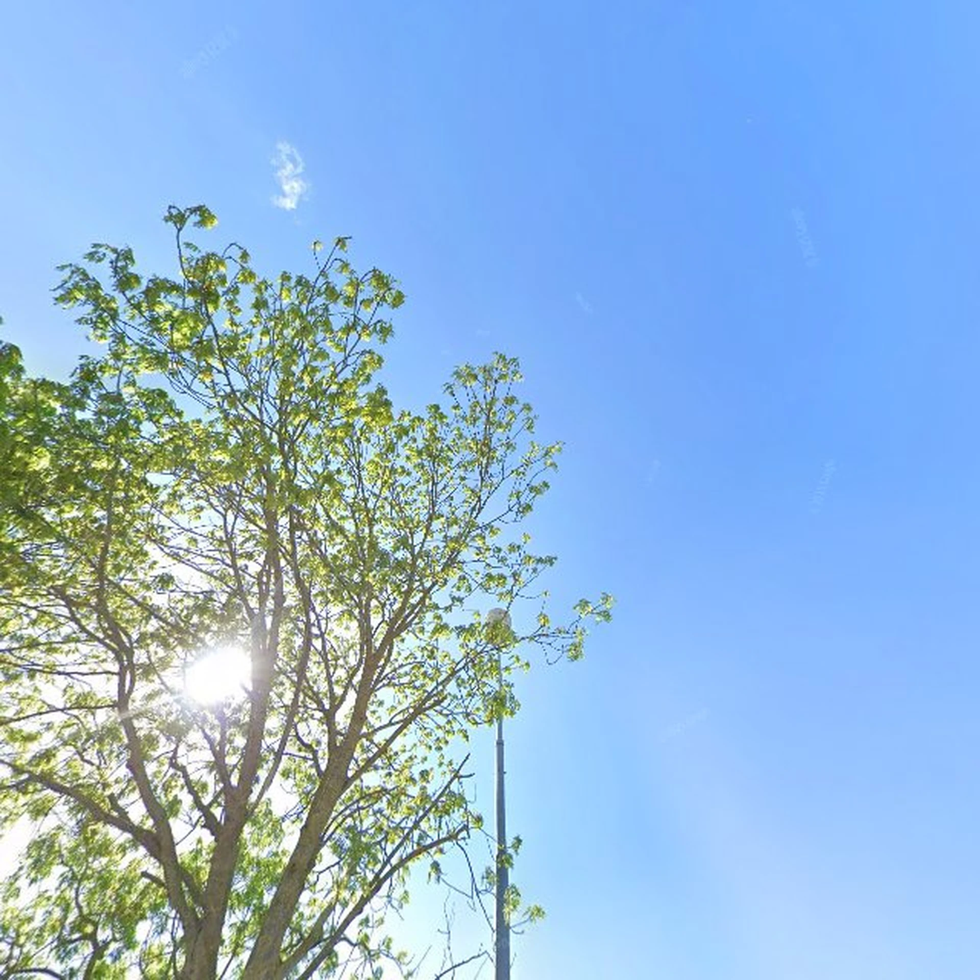 Kringloopwinkel Kringloopwinkel De Kringloods in Noordwelle