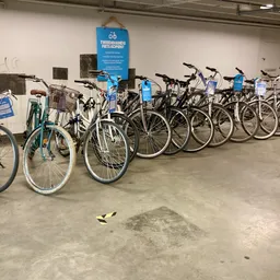 Rij van blauwe en zwarte fietsen uitgestald in een winkelruimte