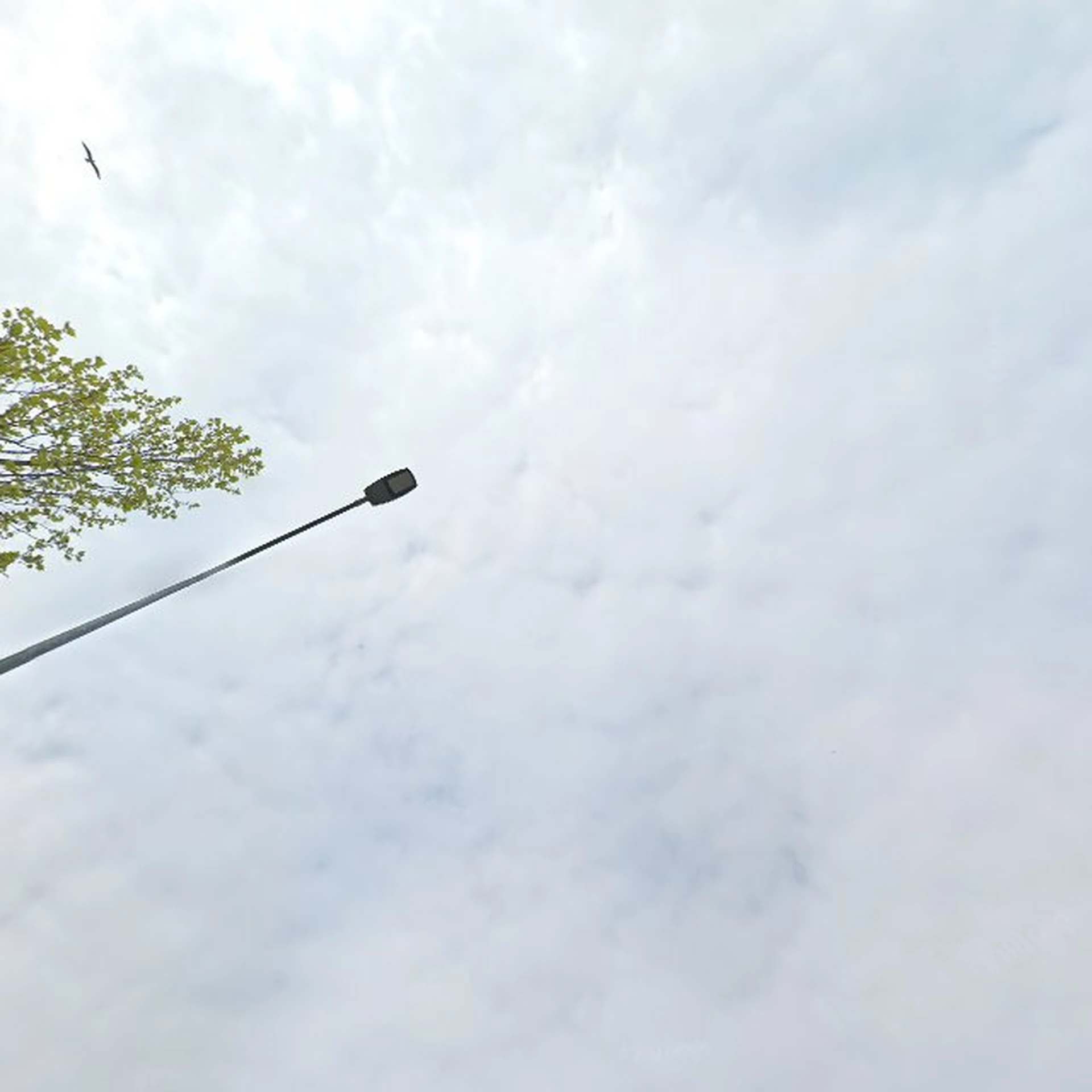 Kringloopwinkel Kringloopwinkel De Kringloper Naarden in Naarden