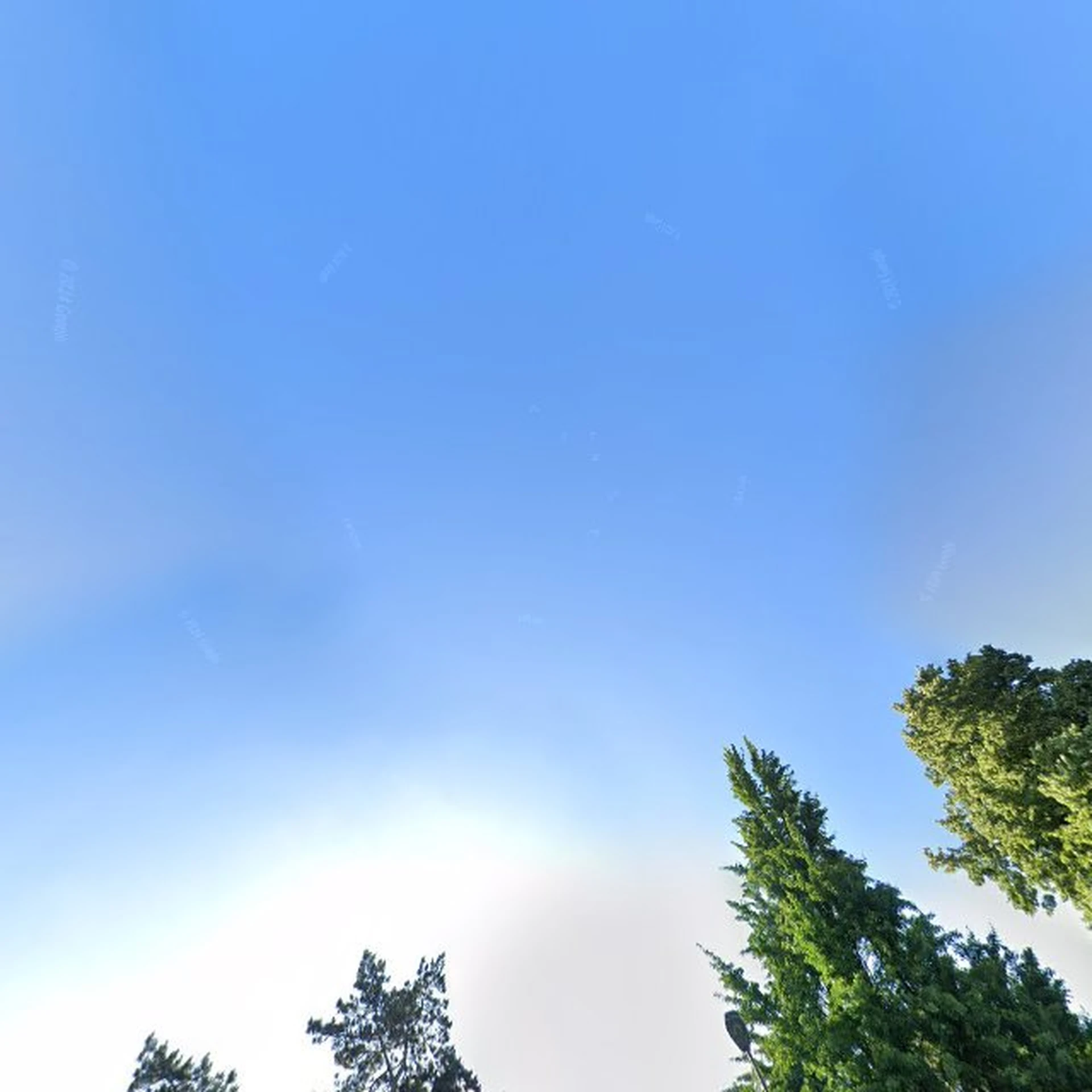 Kringloopwinkel De kringloper voor ieder een kans in Bergen op Zoom