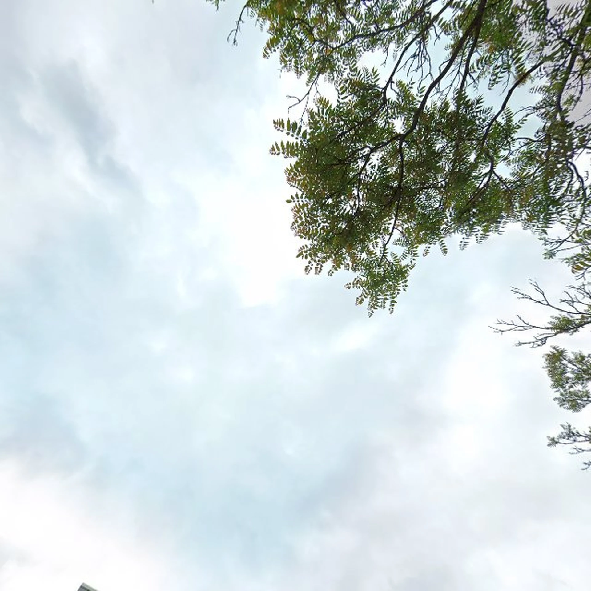 Kringloopwinkel Kringloopwinkel De Kringwinkel Stroom (kleding) in Aalst