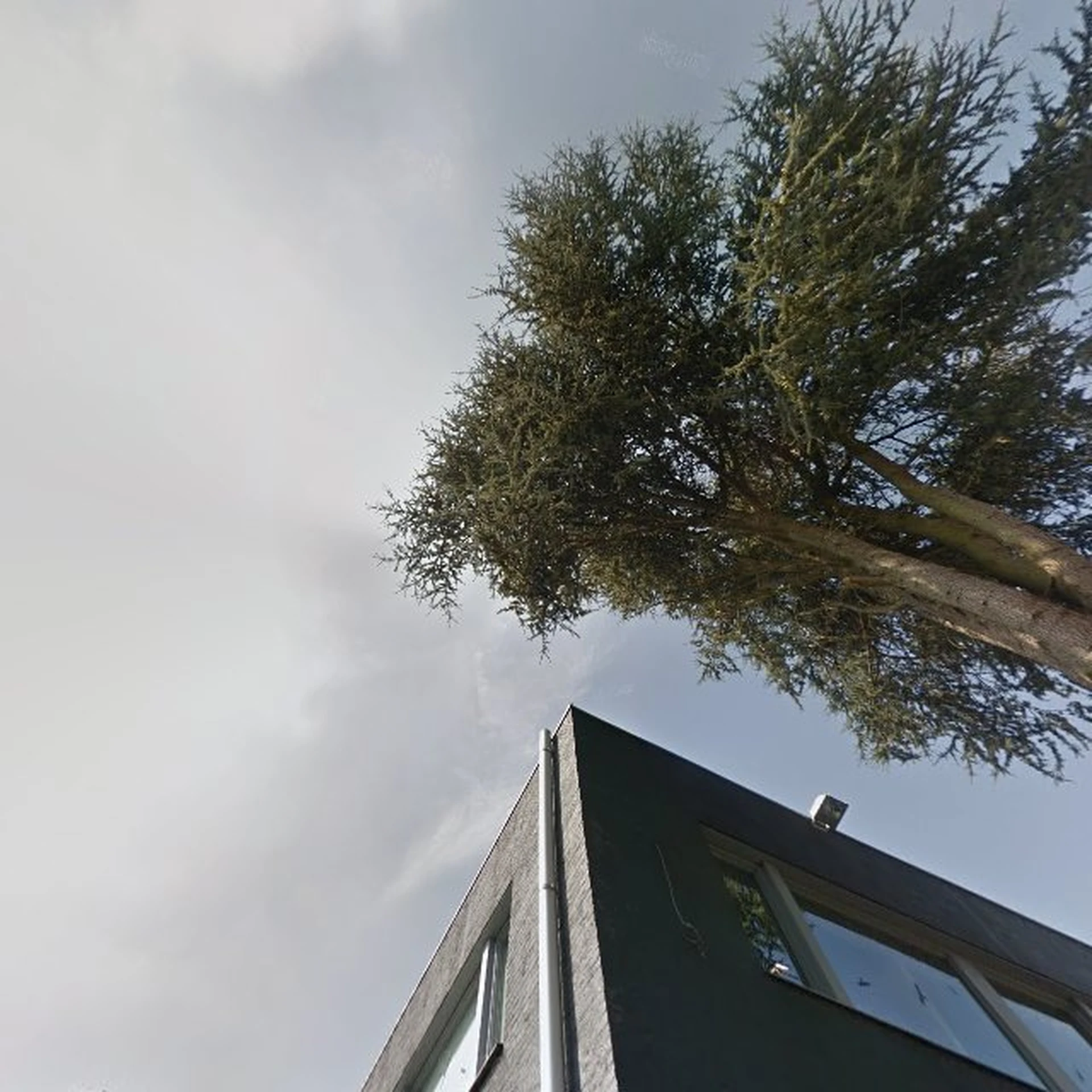 Kringloopwinkel Kringloopwinkel De Kringwinkel Zuiderkempen in Putte