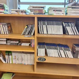 Houten boekenkast met meerdere schappen vol dvd's en cd's netjes uitgestald