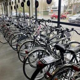 Rij van tweedehands fietsen in verschillende kleuren opgesteld onder afdak voor de winkel