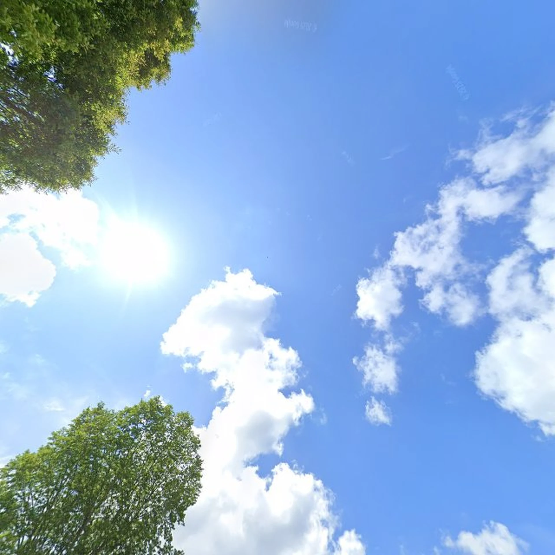 Kringloopwinkel De Luxe Kringloop in Zutphen