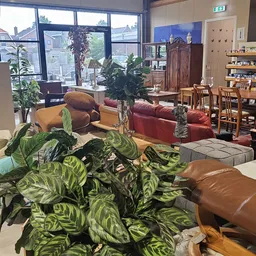 Ruime winkelruimte met zithoeken, meubels, planten en toonbankmeubel met artikelen