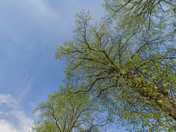 Kringloopwinkel Kringloopwinkel De Meule in Eindhoven