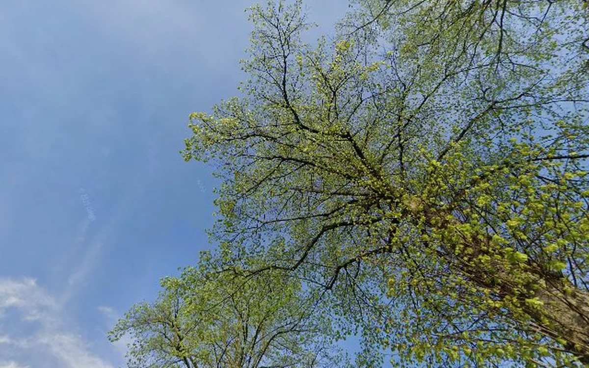 Kringloopwinkel Kringloopwinkel De Meule in Eindhoven