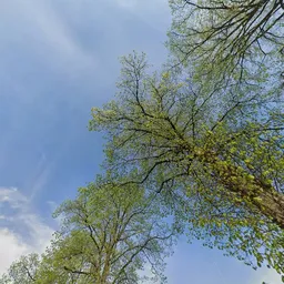 Kringloopwinkel Kringloopwinkel De Meule in Eindhoven