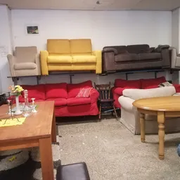 Showroom met diverse zitmeubels: gele, rode, bruine en beige banken en fauteuils, houten tafels op zandkleurig tapijt