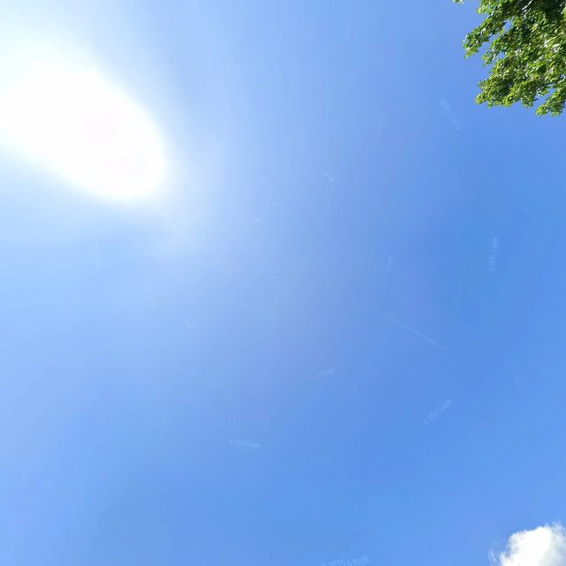 Kringloopwinkel Kringloopwinkel De Ont-Moeting in Venray