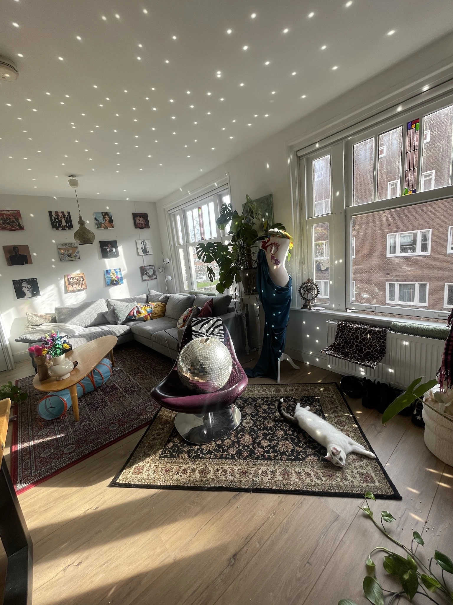 Ruime woonkamer met grijze bank, fauteuil, foto's aan de muur, veel daglicht en planten
