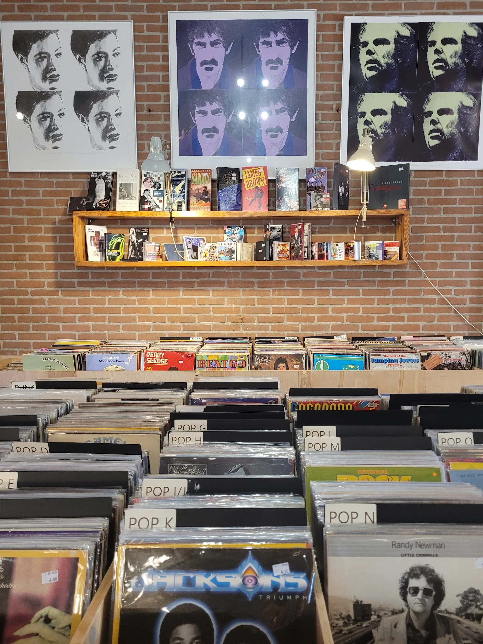 Houten wandrek met dvd's en boeken bovenaan, onderaan bakken met vinyl platen en cd's, georganiseerd per genre