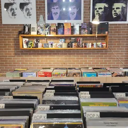 Houten wandrek met dvd's en boeken bovenaan, onderaan bakken met vinyl platen en cd's, georganiseerd per genre