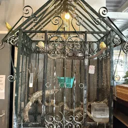 Sierlijk smeedijzeren vogelbuurten of decoratieve kooi met krulwerk en gaas
