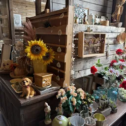 Uitgestald assortiment met zonnebloemen in vaas, decoratieve items, bloemen in vazen en diverse vintage spullen