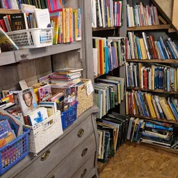 Boekenrekken en boeken in diverse genres, waaronder dvd's en cd's in opbergkuipen en kasten