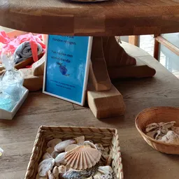 Houten tafeltje met decoratieve items: schelpen in manden, boeken en roze lint in een glas, met zonnlicht van ramen op de ach