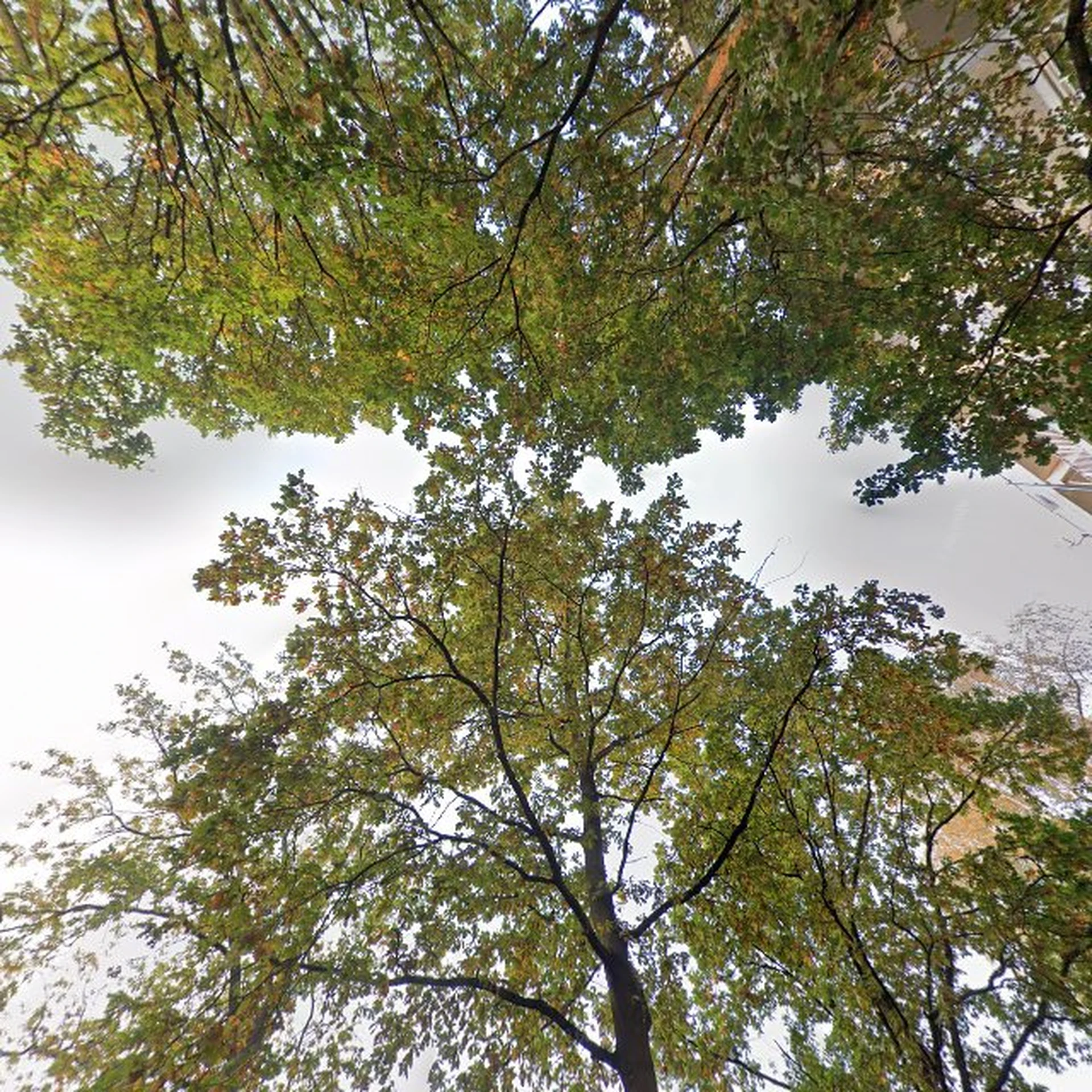 Kringloopwinkel De Schatkist in Nieuwegein