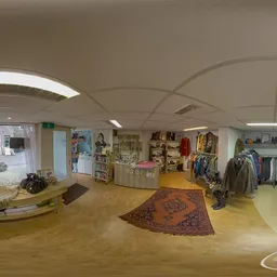 Winkelvloer van kringloopwinkel met kleding aan rekken, boekenkasten, sieraden en een Perzisch tapijt op de grond