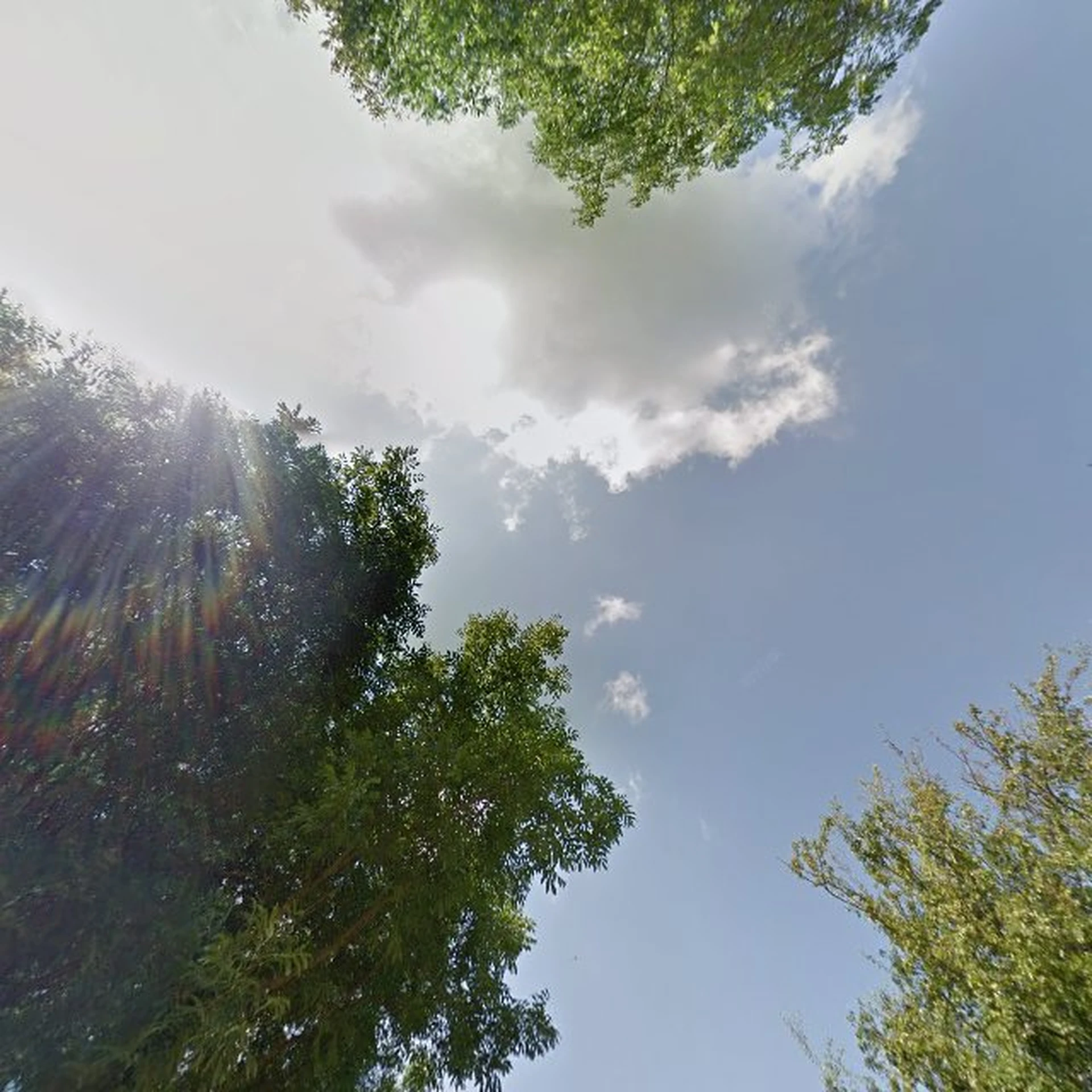 Kringloopwinkel De Skuur in Nes