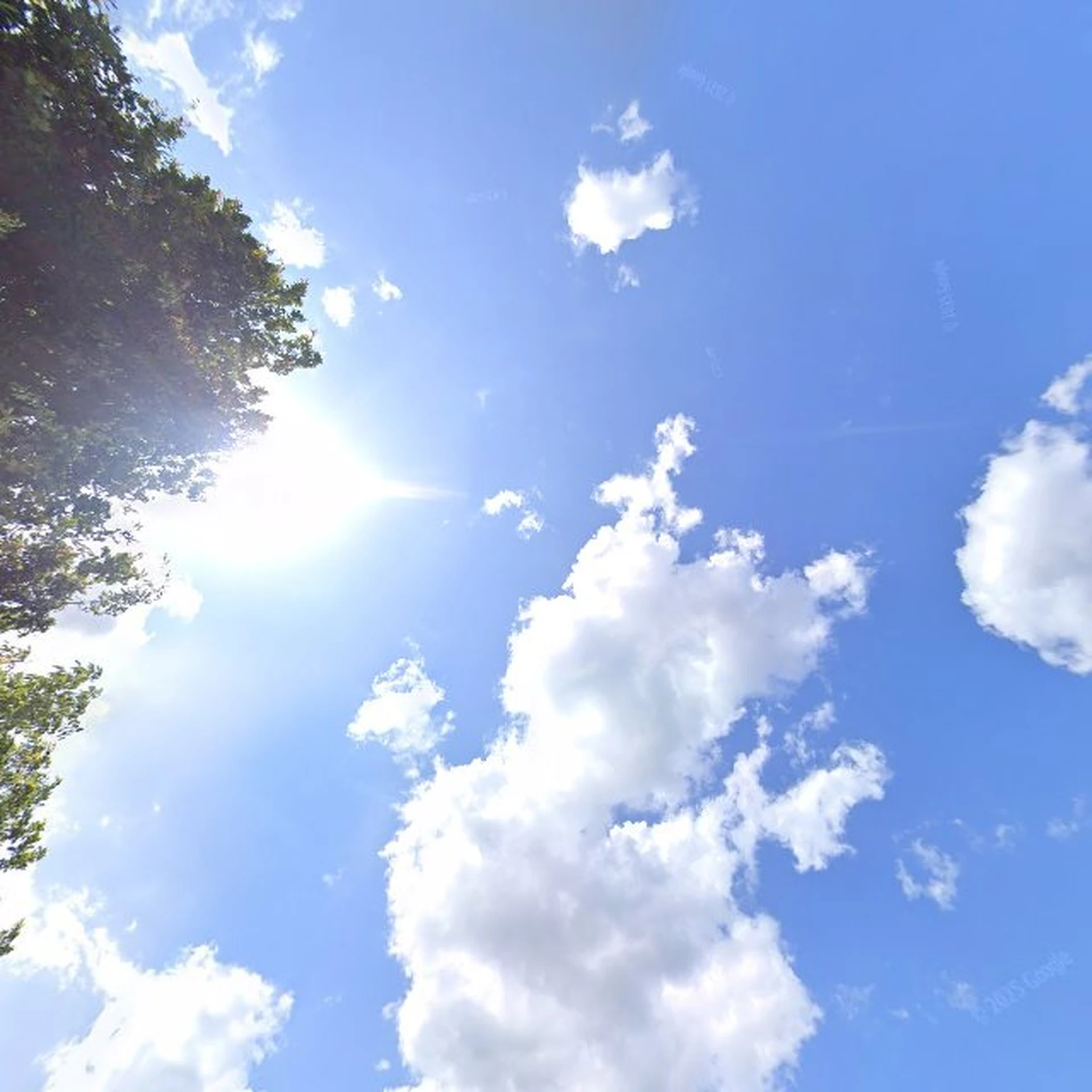 Kringloopwinkel de snuffelgans kringloopwinkel in Coevorden