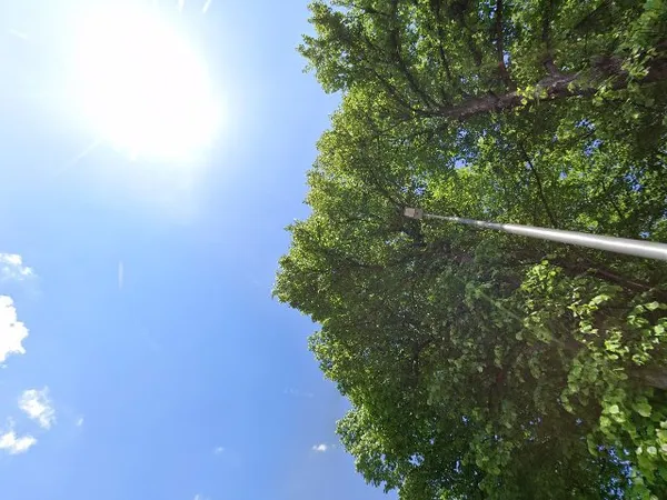 Kringloopwinkel De Snuffelhoek Kringloop in Kootwijkerbroek