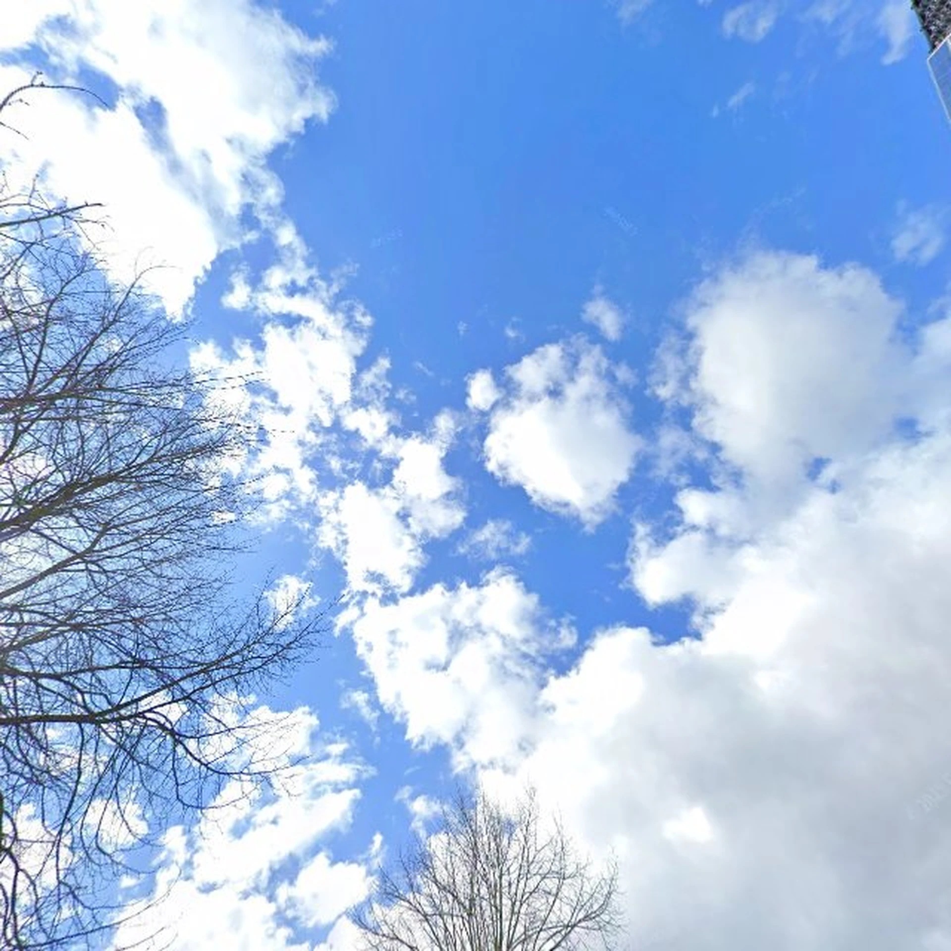 Kringloopwinkel Kringloopwinkel de Snuffelhoeve in Heerjansdam