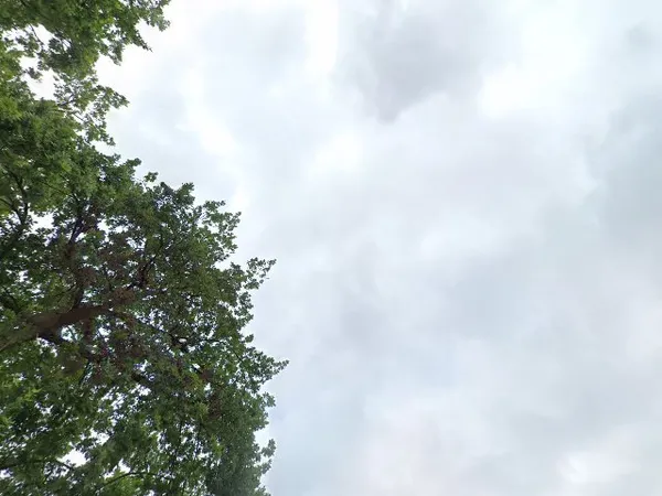 Kringloopwinkel De Stuntwinkel en Anneke's Winkeltje in Musselkanaal