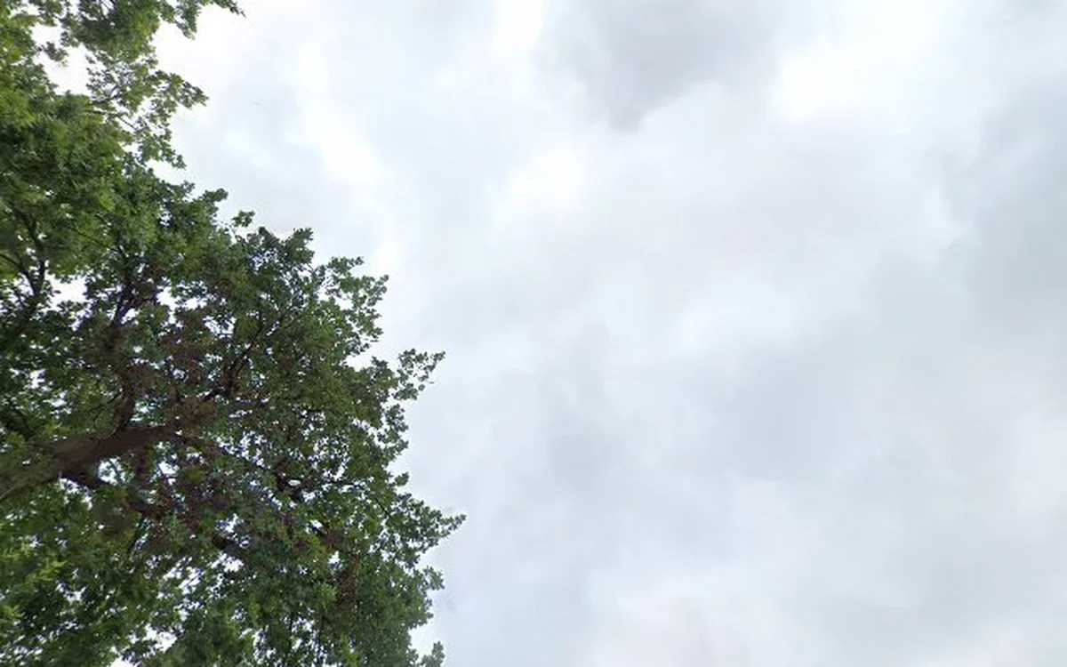 Kringloopwinkel De Stuntwinkel en Anneke's Winkeltje in Musselkanaal