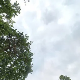 Kringloopwinkel De Stuntwinkel en Anneke's Winkeltje in Musselkanaal