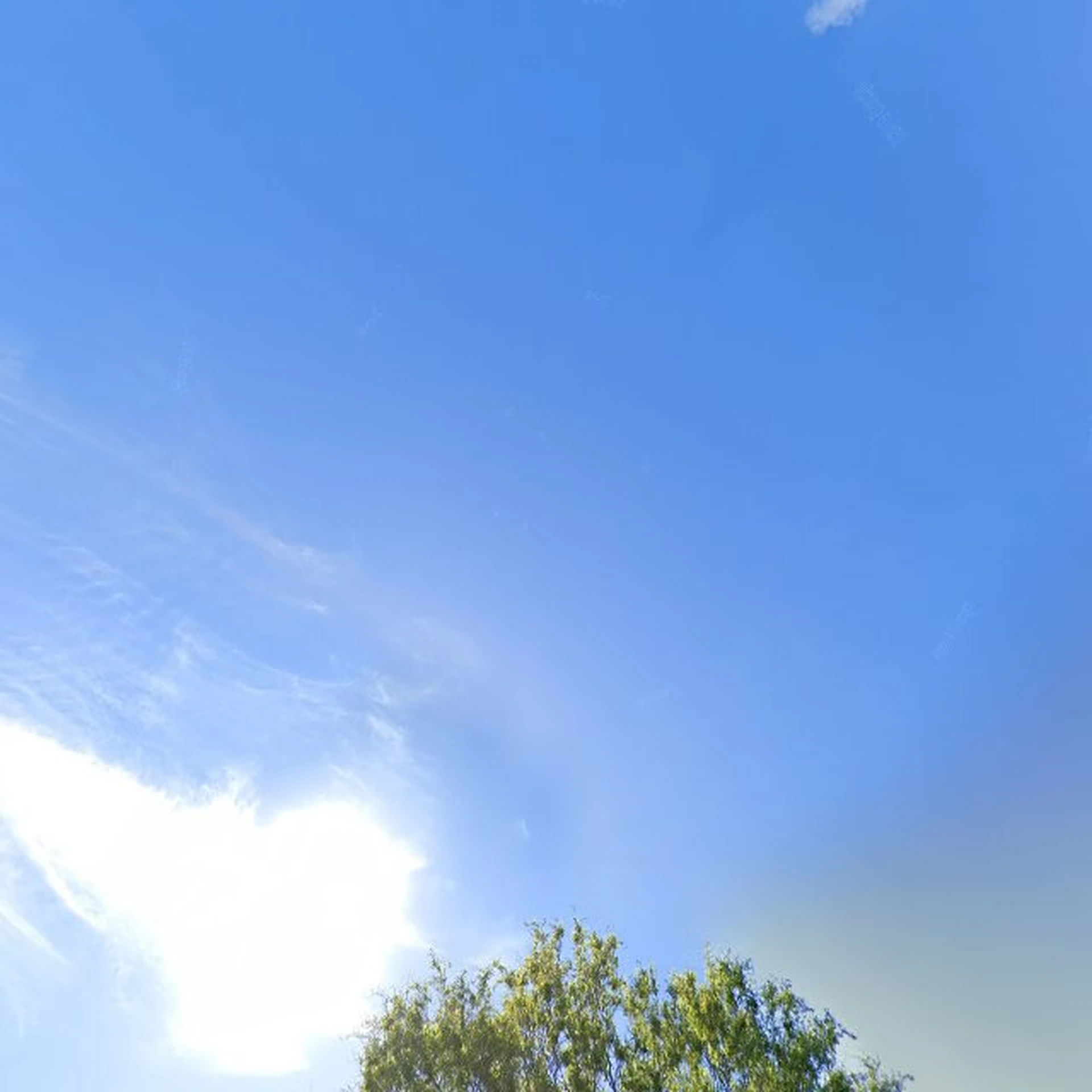 Kringloopwinkel Kringloopwinkel De Wieringer Schatkamer in Hippolytushoef