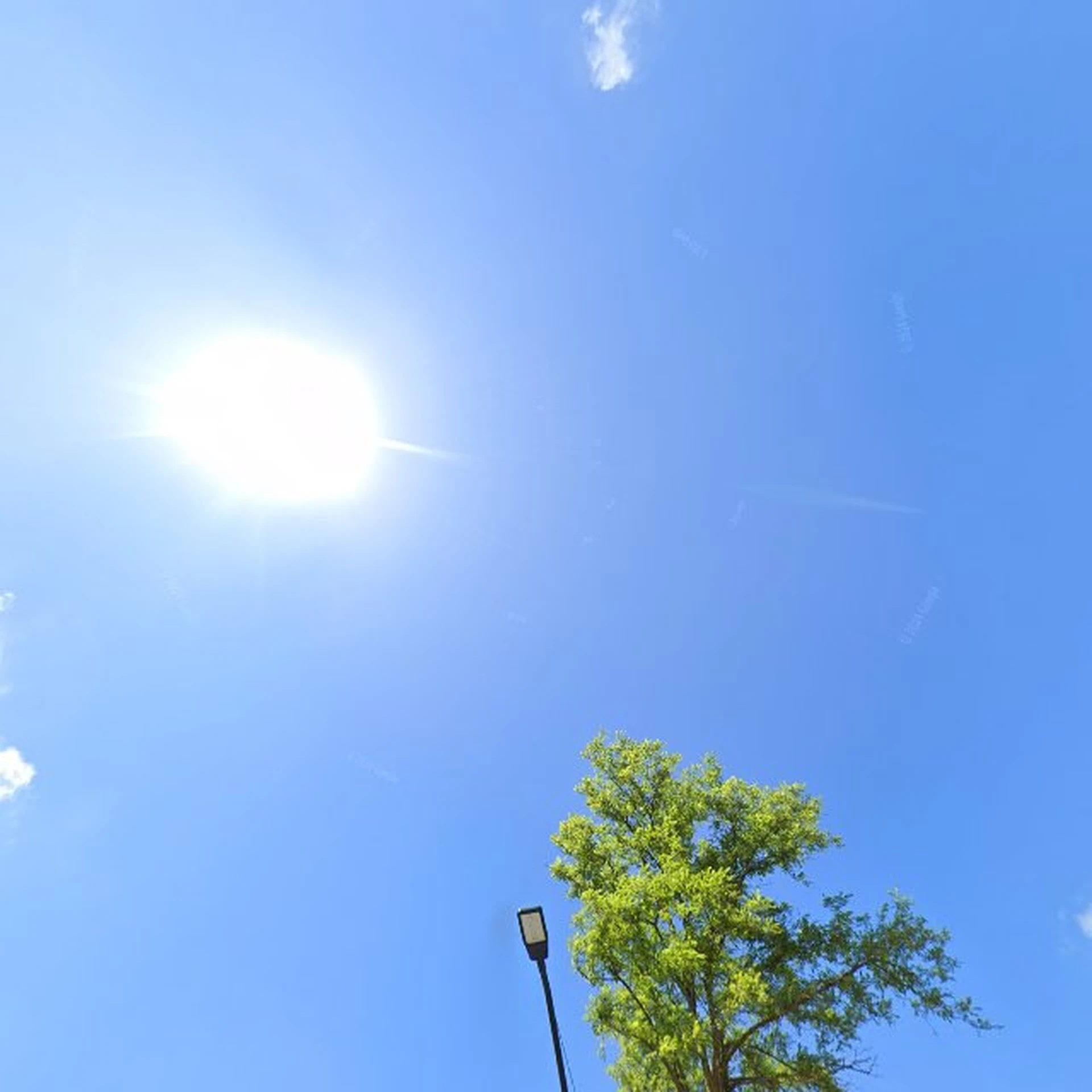 Kringloopwinkel De Wijcker Kringloop in Beverwijk