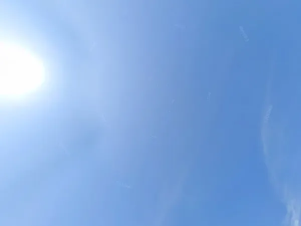 Kringloopwinkel Kringloopwinkel De Witte Markt BV in Heinenoord