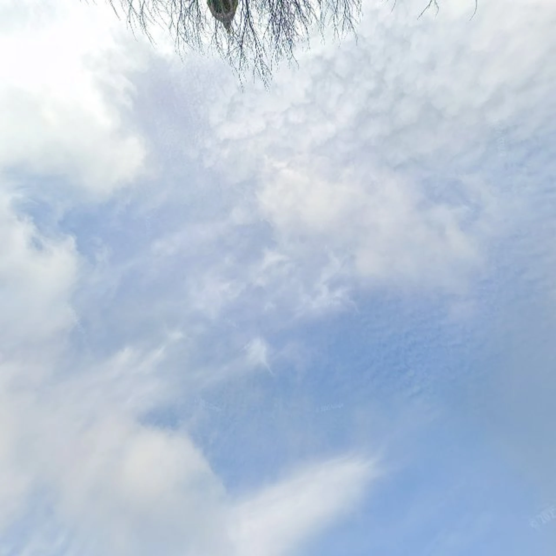 Kringloopwinkel Kringloopwinkel De Ynbring in Aldeboarn