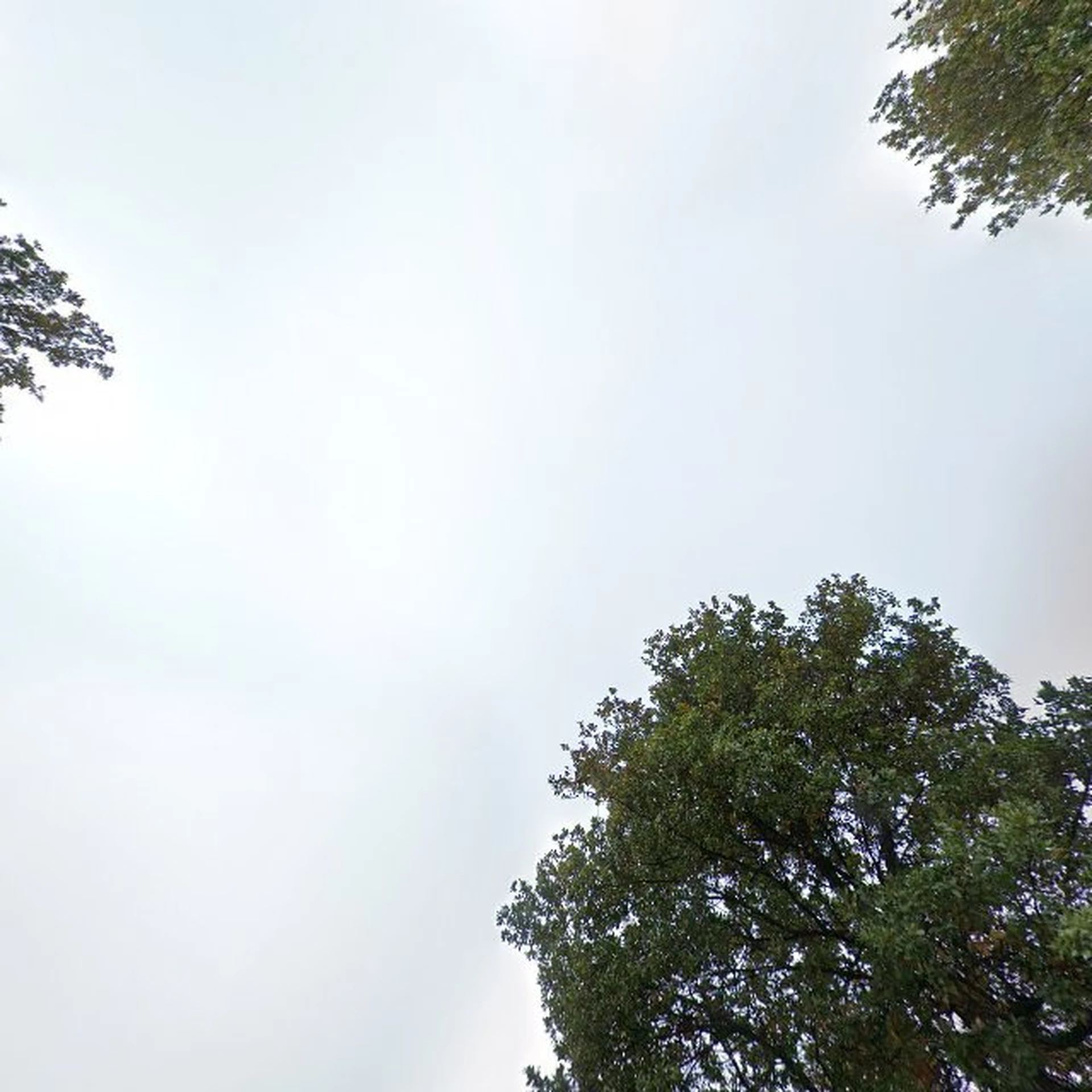 Kringloopwinkel D'N Soete Inval Kringloopwinkel in Drunen