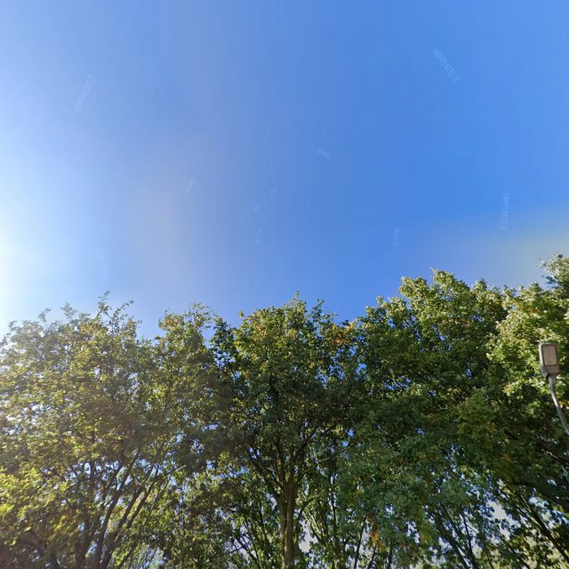 Kringloopwinkel Dorcas Kringloopwinkel in Brakel