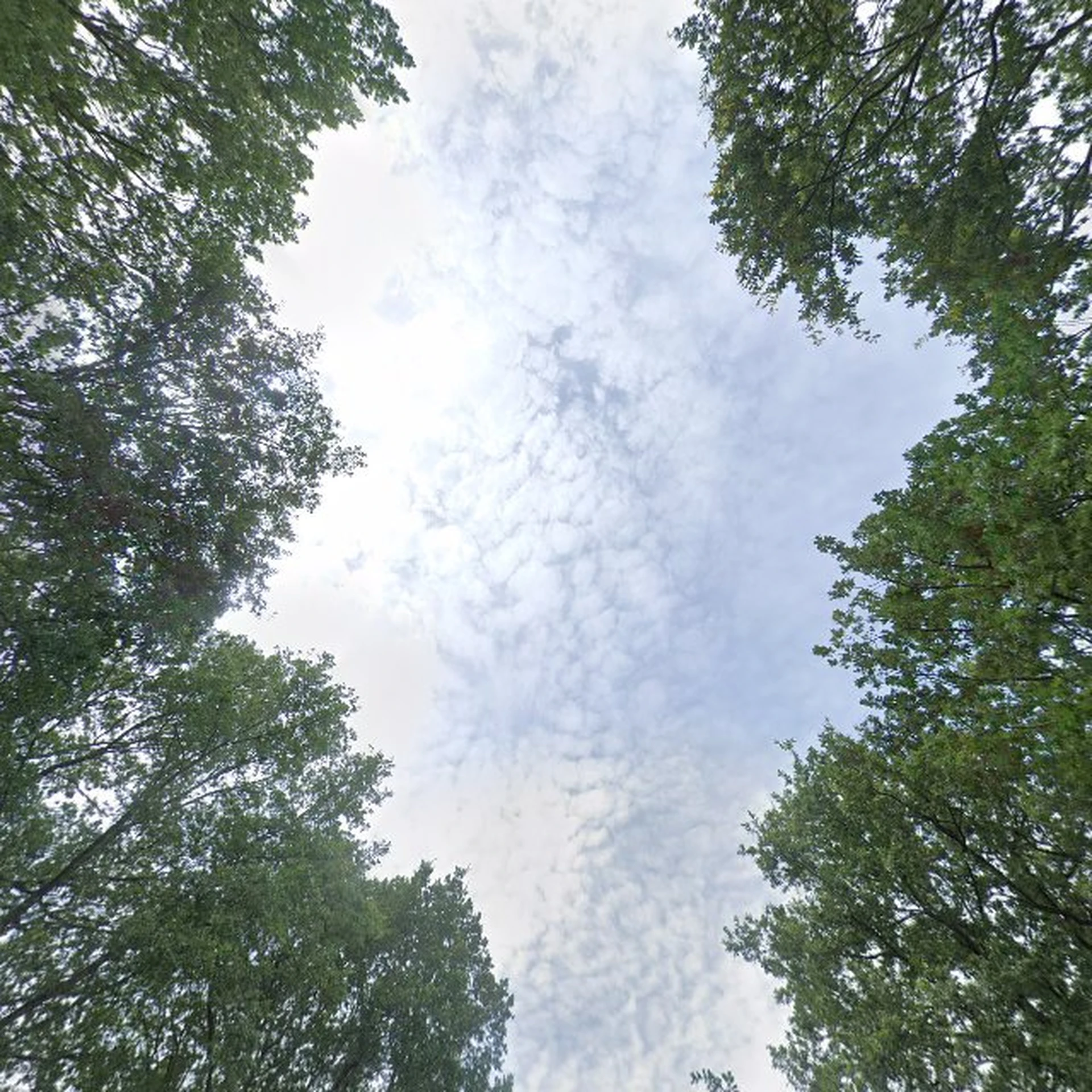 Kringloopwinkel Dorcas Kringloopwinkel Elburg in Elburg