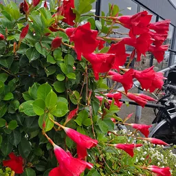 Bezoeker foto van Kringloopwinkel Dorcas Regiocentrum Emmen in Emmen