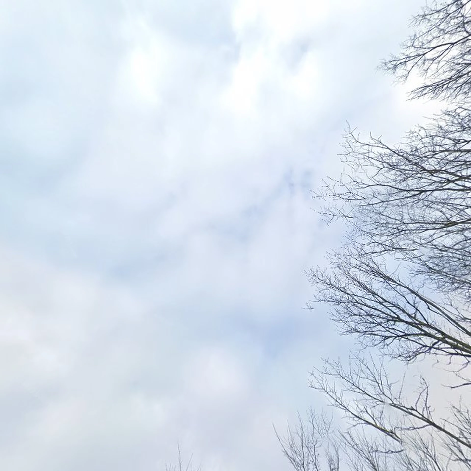 Kringloopwinkel Kringloopwinkel Dorcas Walcheren Depot in Aagtekerke