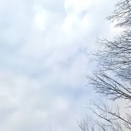 Kringloopwinkel Kringloopwinkel Dorcas Walcheren Depot in Aagtekerke