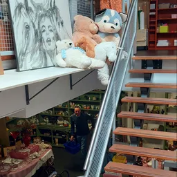 Overzicht van winkelinterieur met trap, stellingen met spullen en knuffeldieren op bovenkant