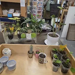 Bezoeker foto van Kringloopwinkel Dorcas Winkel Dronten in Dronten