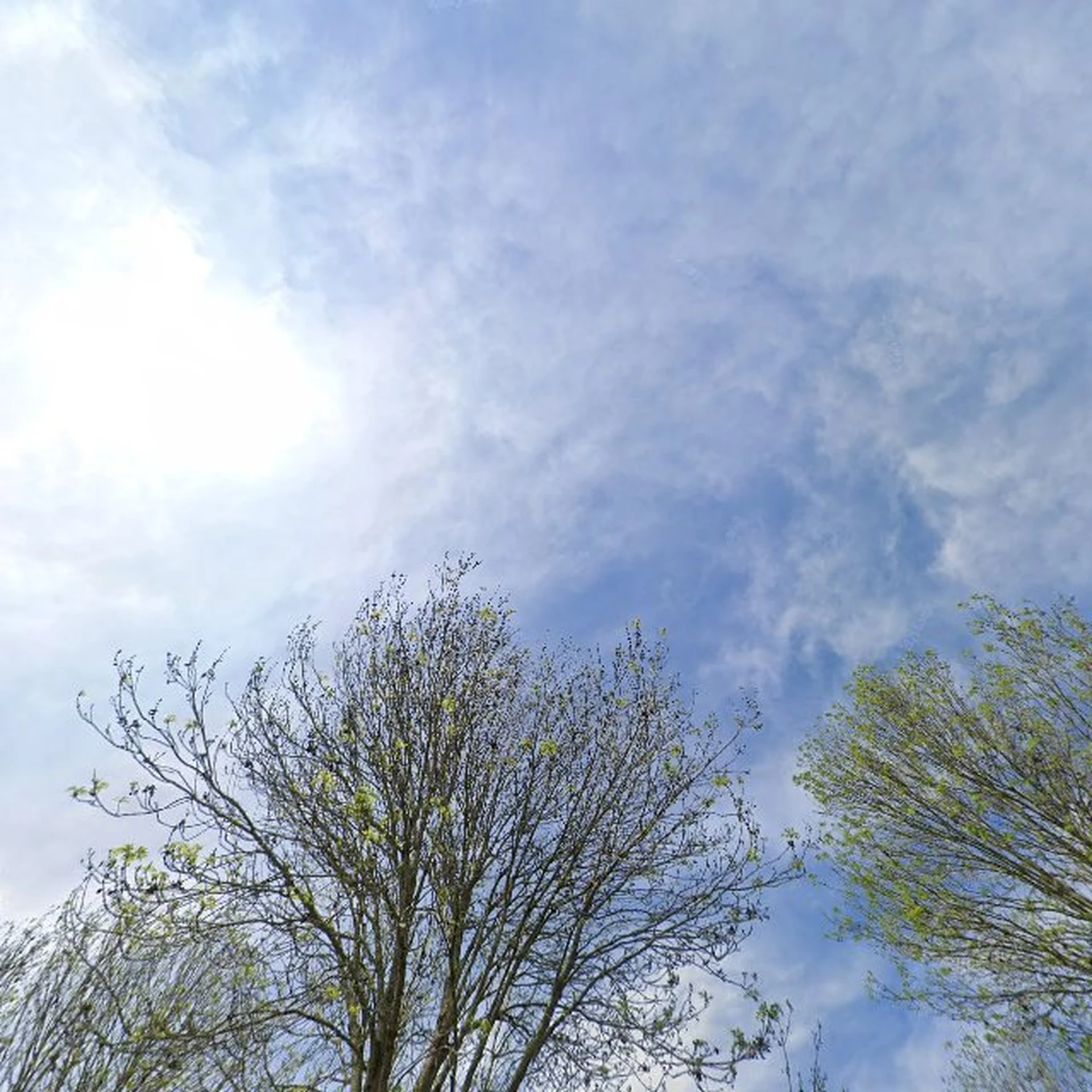 Kringloopwinkel Kringloopwinkel Dorcas Winkel Dronten in Dronten