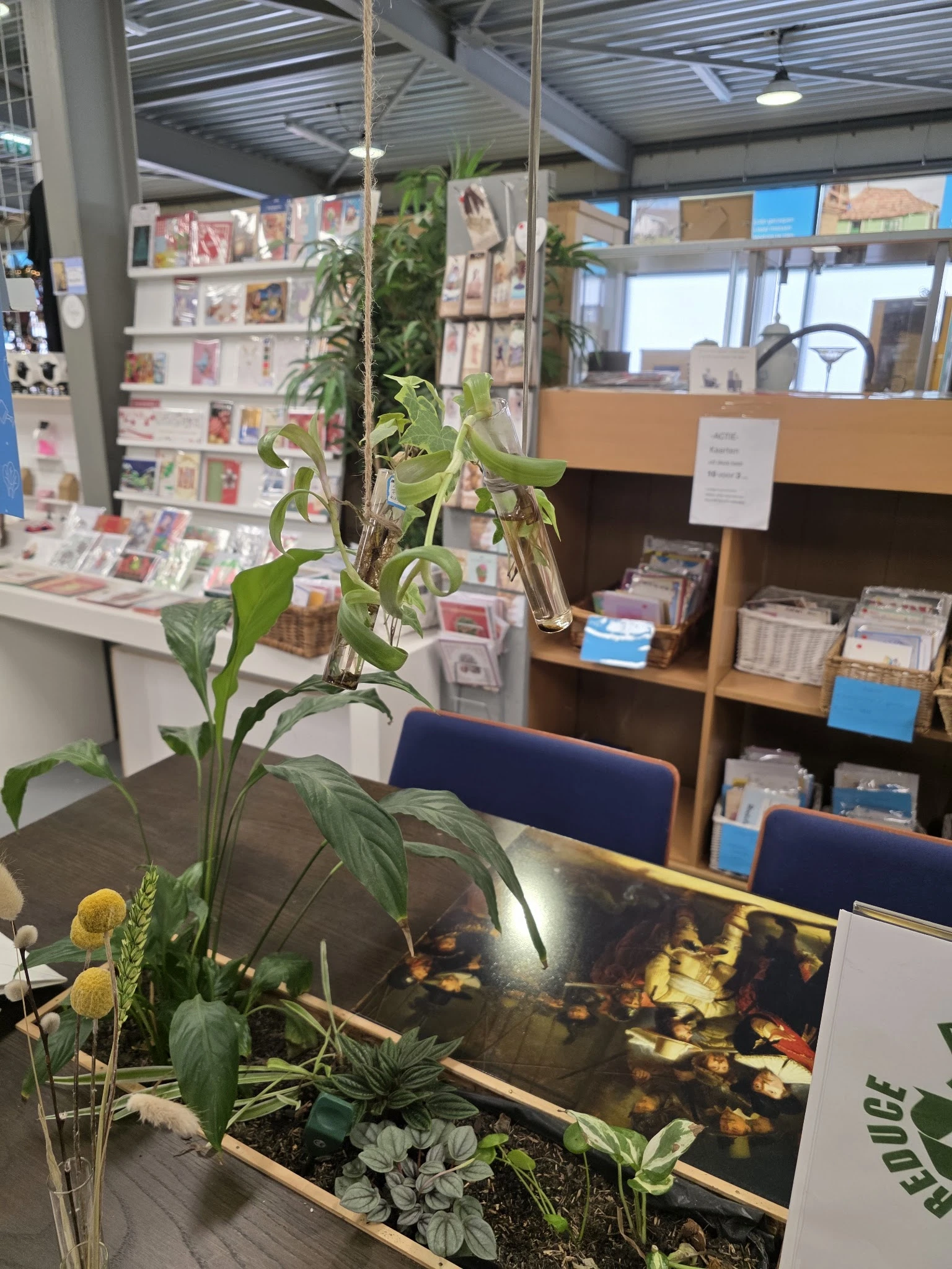 Winkelbinnenkant met stellingen vol spullen, een plant op tafel en displays op de achtergrond