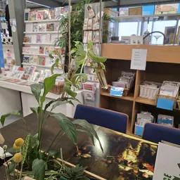 Winkelbinnenkant met stellingen vol spullen, een plant op tafel en displays op de achtergrond